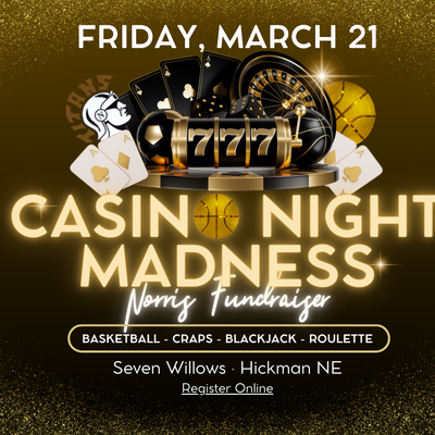 Casino Night Banner