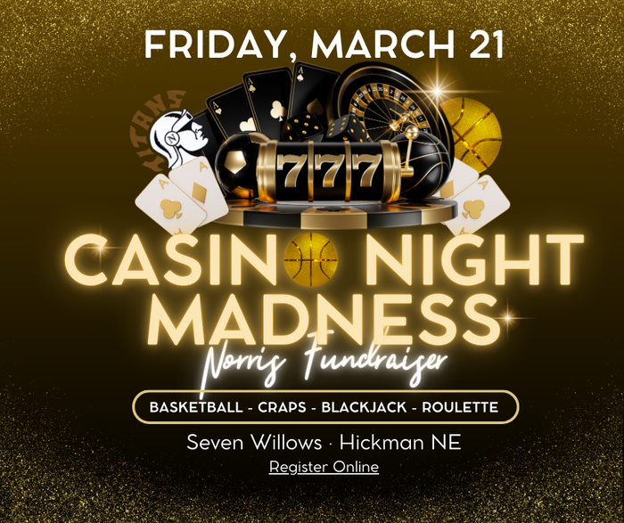 Casino Night Banner